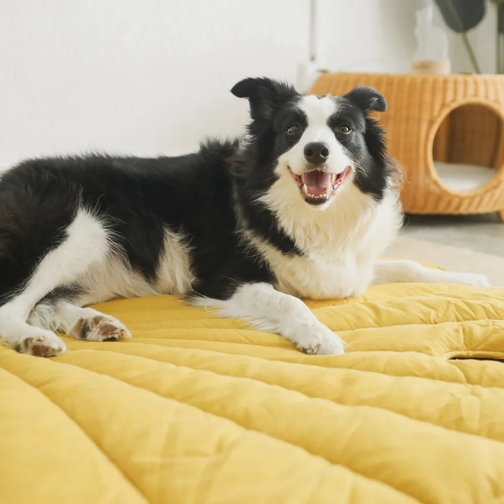 Hundedecke in Blattform für das ganze Jahr